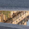 20100723 204926